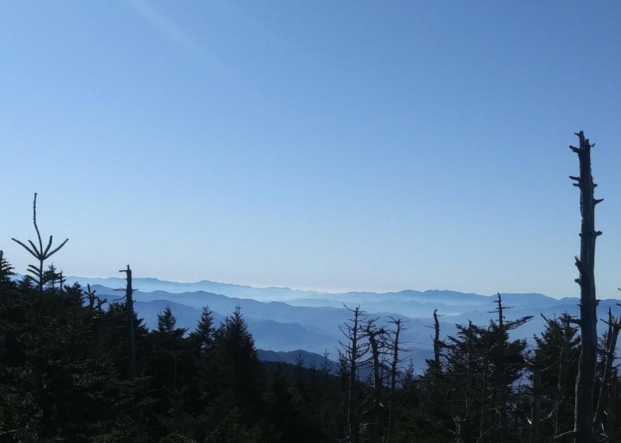 Sky High Views!!-Peak Mountaintop-Outdoor Pool-Close To Downtown-Private Balcony-Wifi-Cable Гатлинбург Экстерьер фото